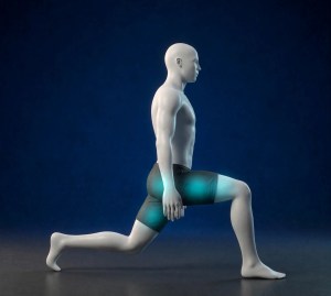 Fentes, position basse, vue de côté, cuisse avant parallèle au sol.